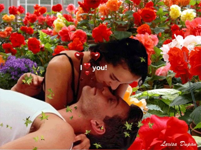 Kiss flowers. Влюбленные цветы. Романтический цветочек. Цветы любимым. Цветок поцелуй.