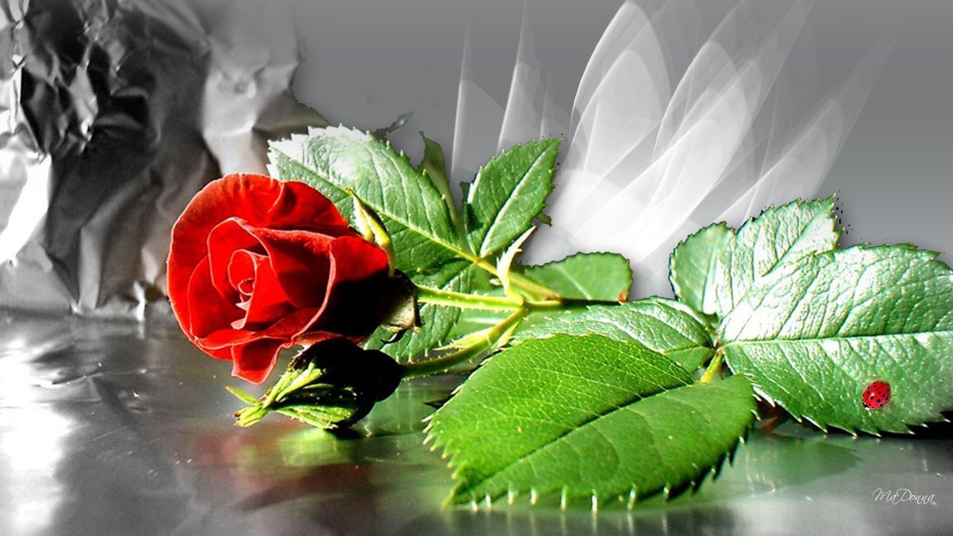 Красивые картинки в одноклассники. "Цветы любви". Картинки на рабочий стол розы. Заставка на рабочий стол розы. Красные розы.