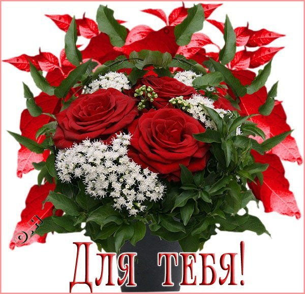 Открытки с днём рождения с тортом и цветами