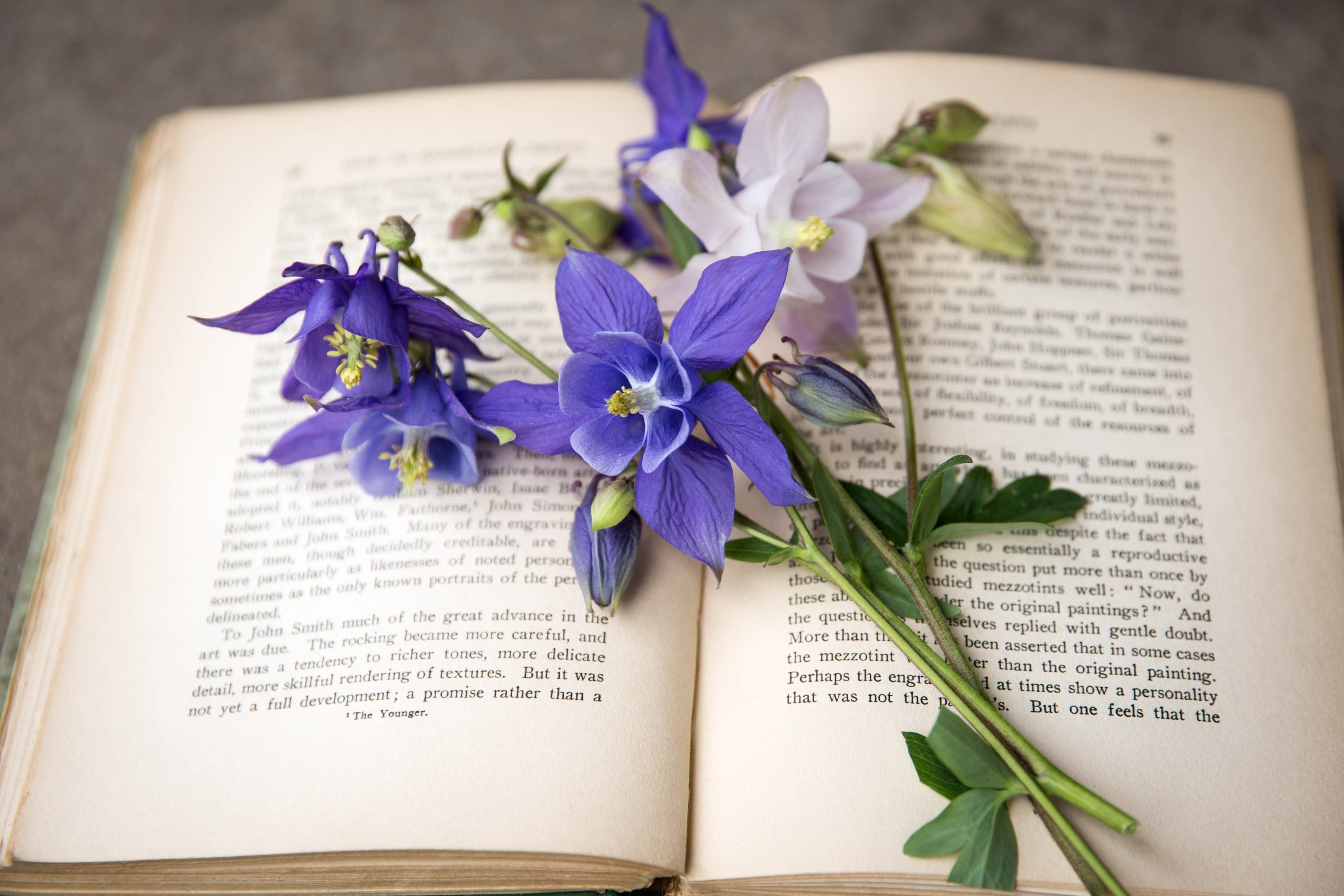 Книга цвет жизни. Книга цветы. Книги о цветах. Цветы в книжке. Книга с цветами.