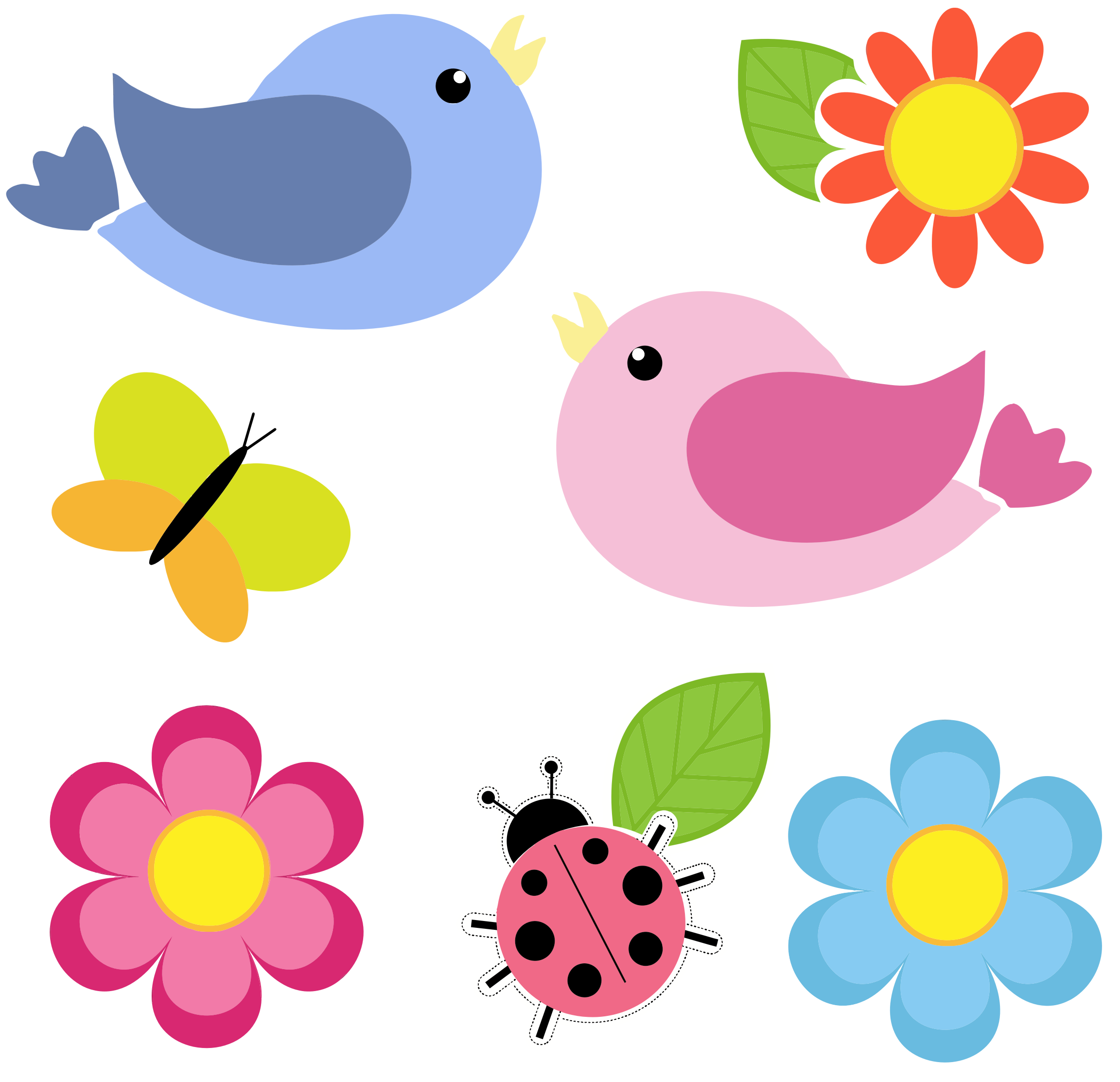 Раскраски цветы и птицы 5
