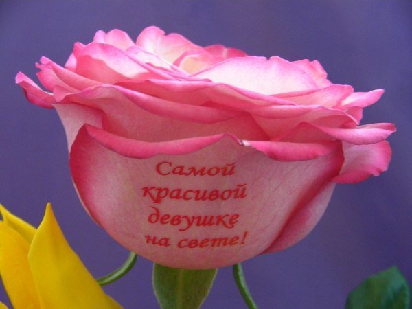 Надпись цветы
