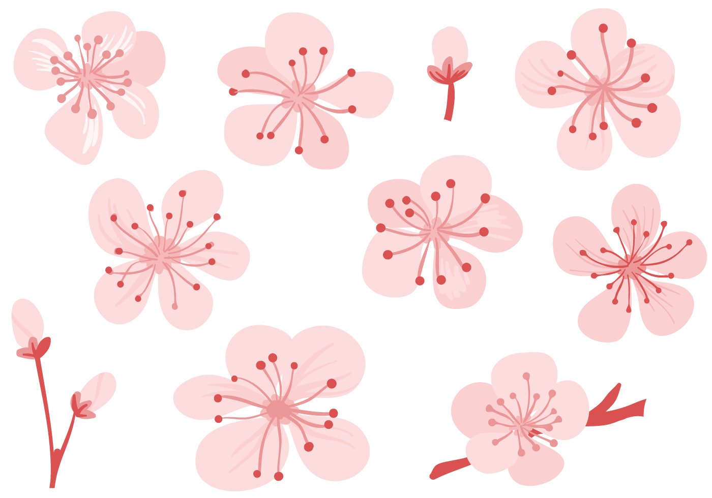 Цветок сакуры шаблон. Цветы Сакуры. Цветок Сакуры трафарет. Яблоневые цветы для вырезания. Розовые цветы для вырезания.