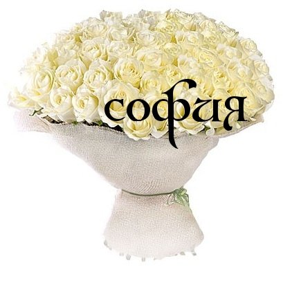 Цветы для Сонечки