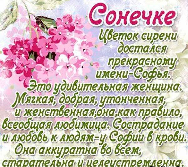 С днем рождения котенок