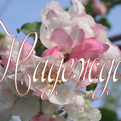 Цветочки для Надюшки