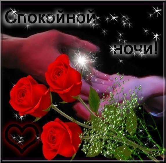 Спокойной ночи с розами и пожеланиями
