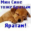 Я тебя люблю на татарском