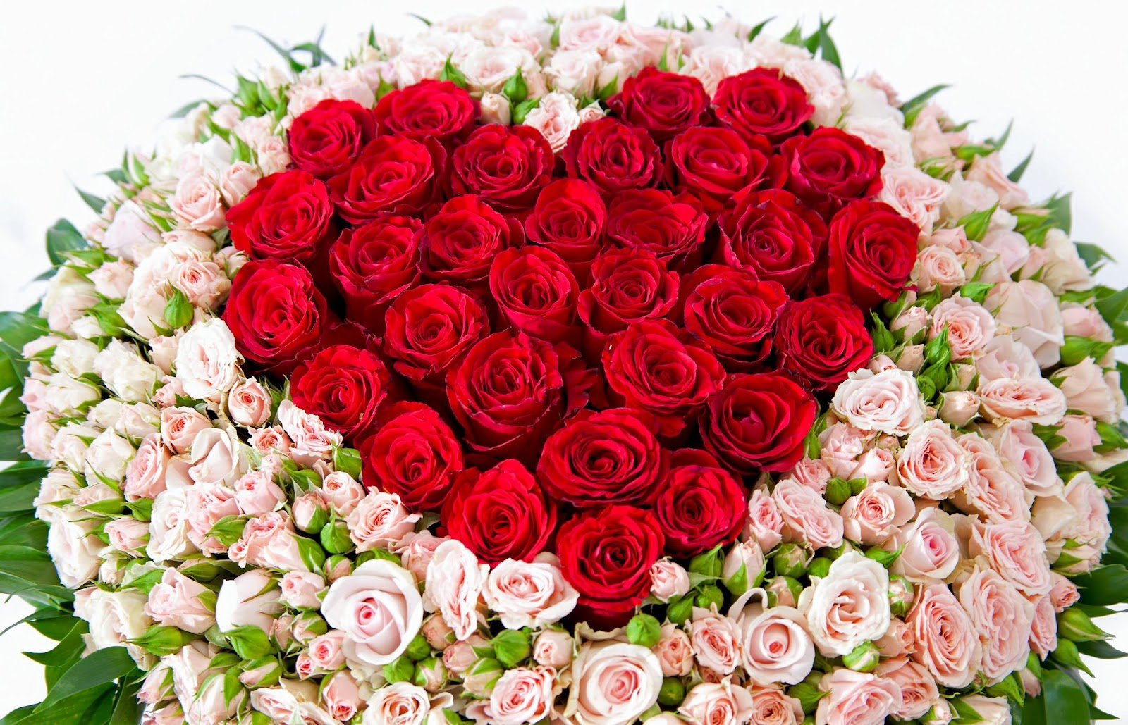 Большие букеты роз купить недорого в Москве – заказать цветы с доставкой, цены от ₽