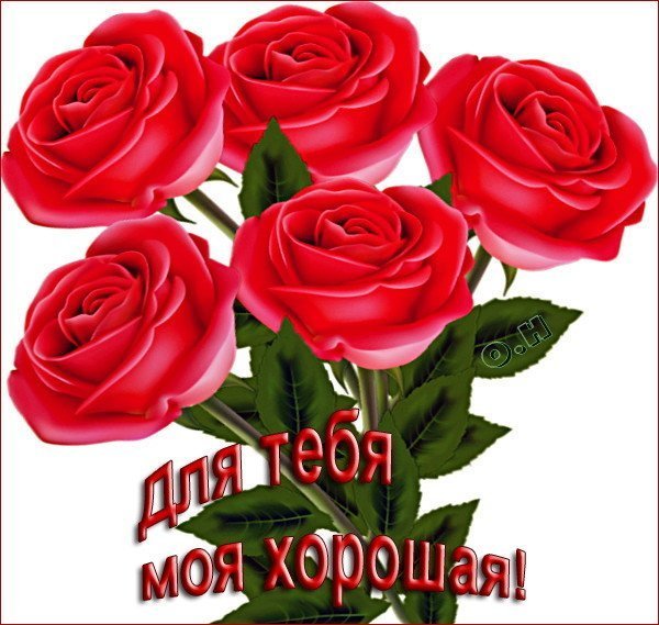 Цветы для Оленьки