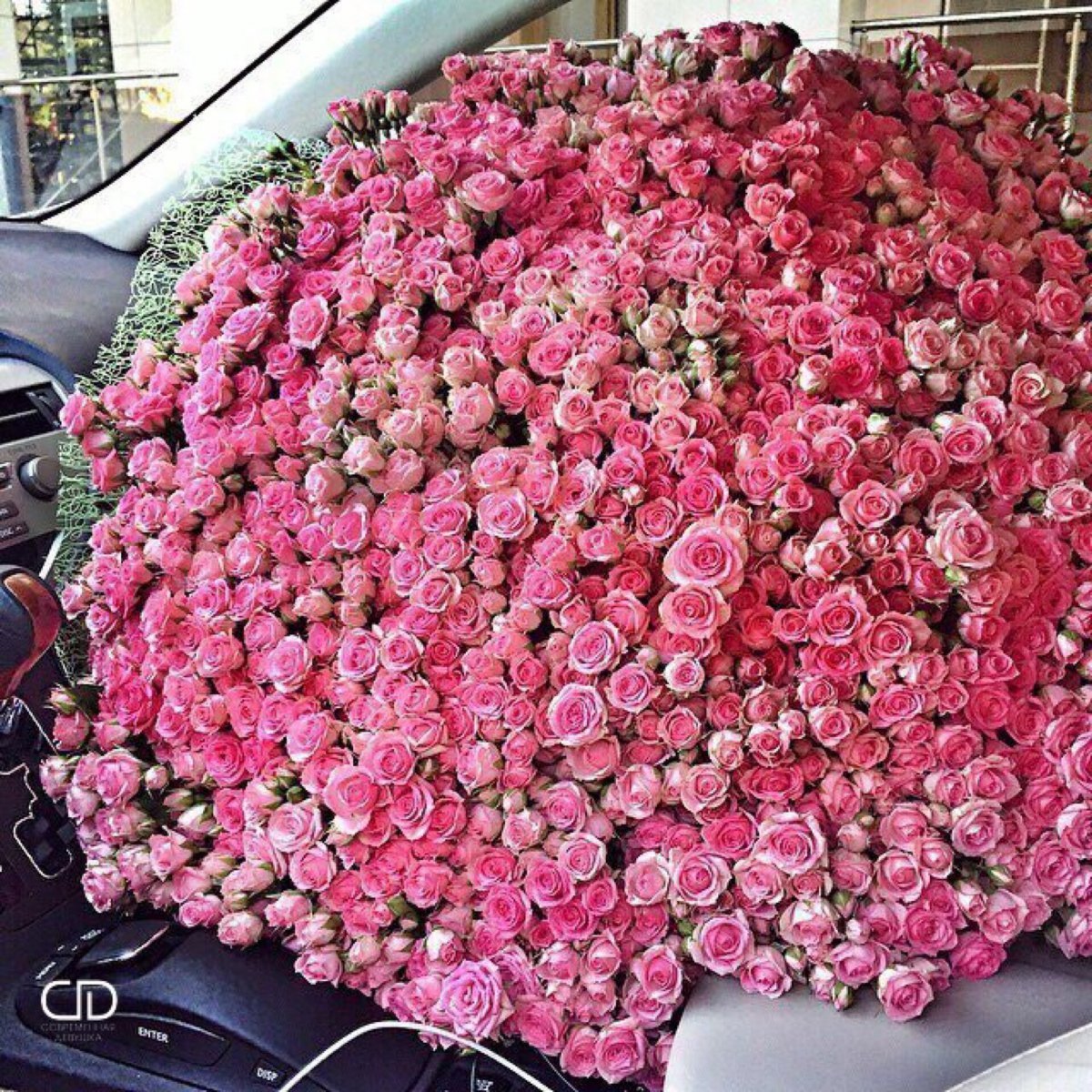 Миллион роз купить. Низкорослые кустовые розы. Цветы огромный букет. Огромный красивый букет.