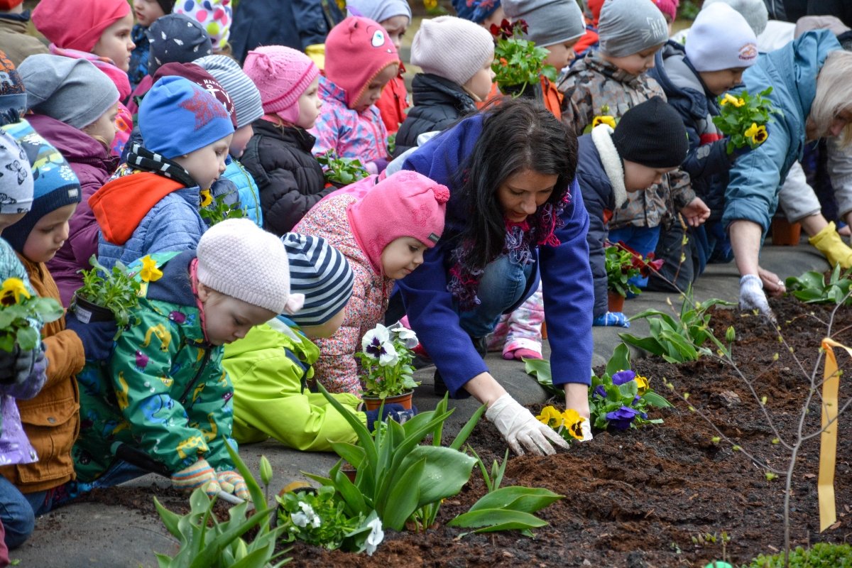 Дети вырастили цветы. Сажать цветы. Дети сажают цветы вокруг школы. Дети высаживают цветы. Дети выращивают цветы.
