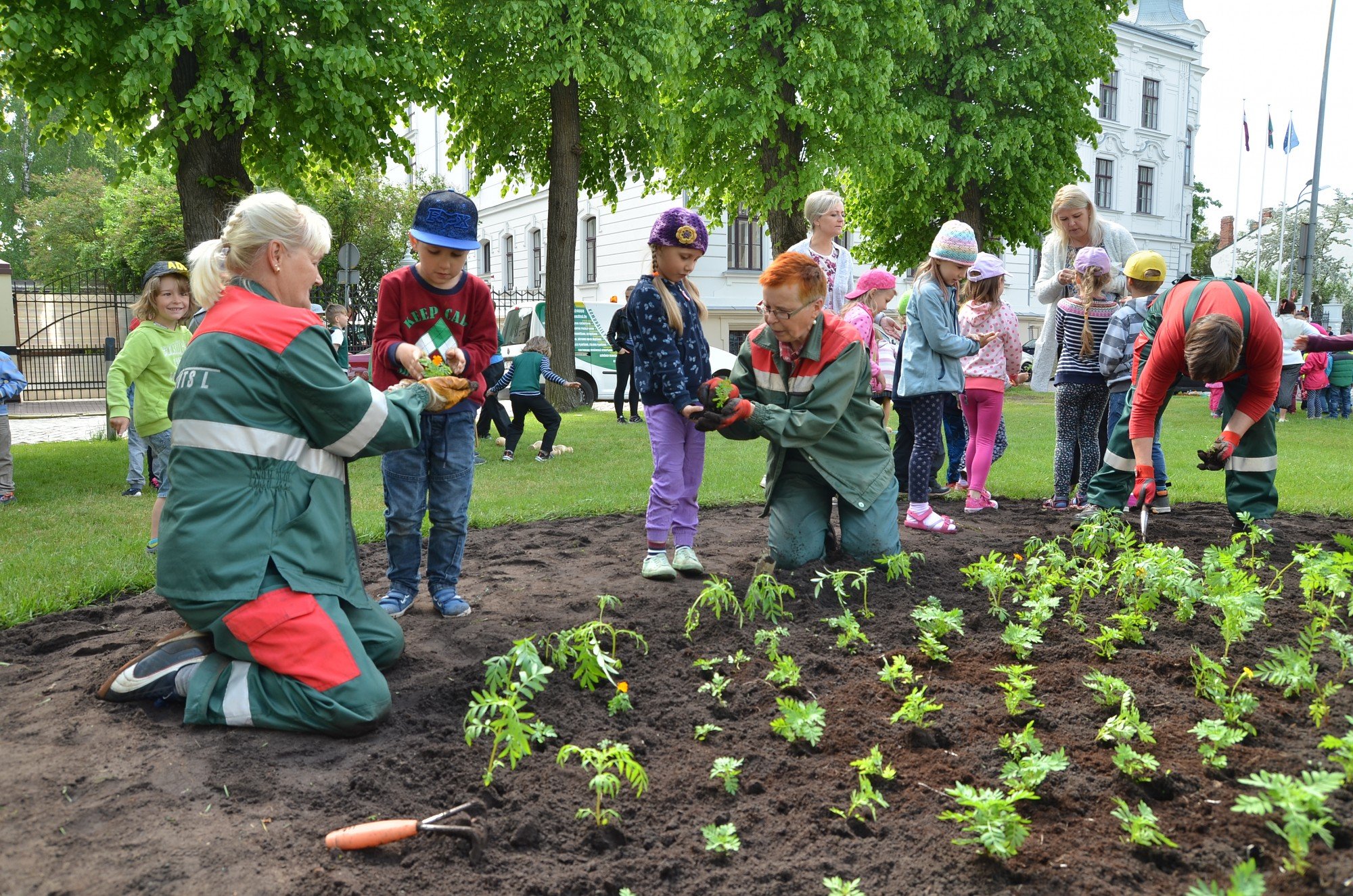 Высадка овощей. Посадка растений в детском саду. Посадка цветов и деревьев. Посадка растений для детей. Высадка растений в саду.