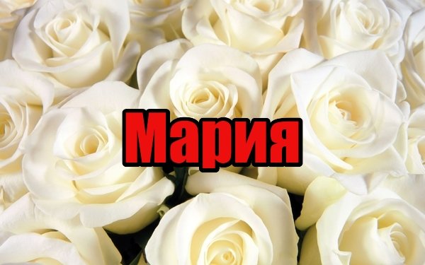 Красивые цветы для Марии