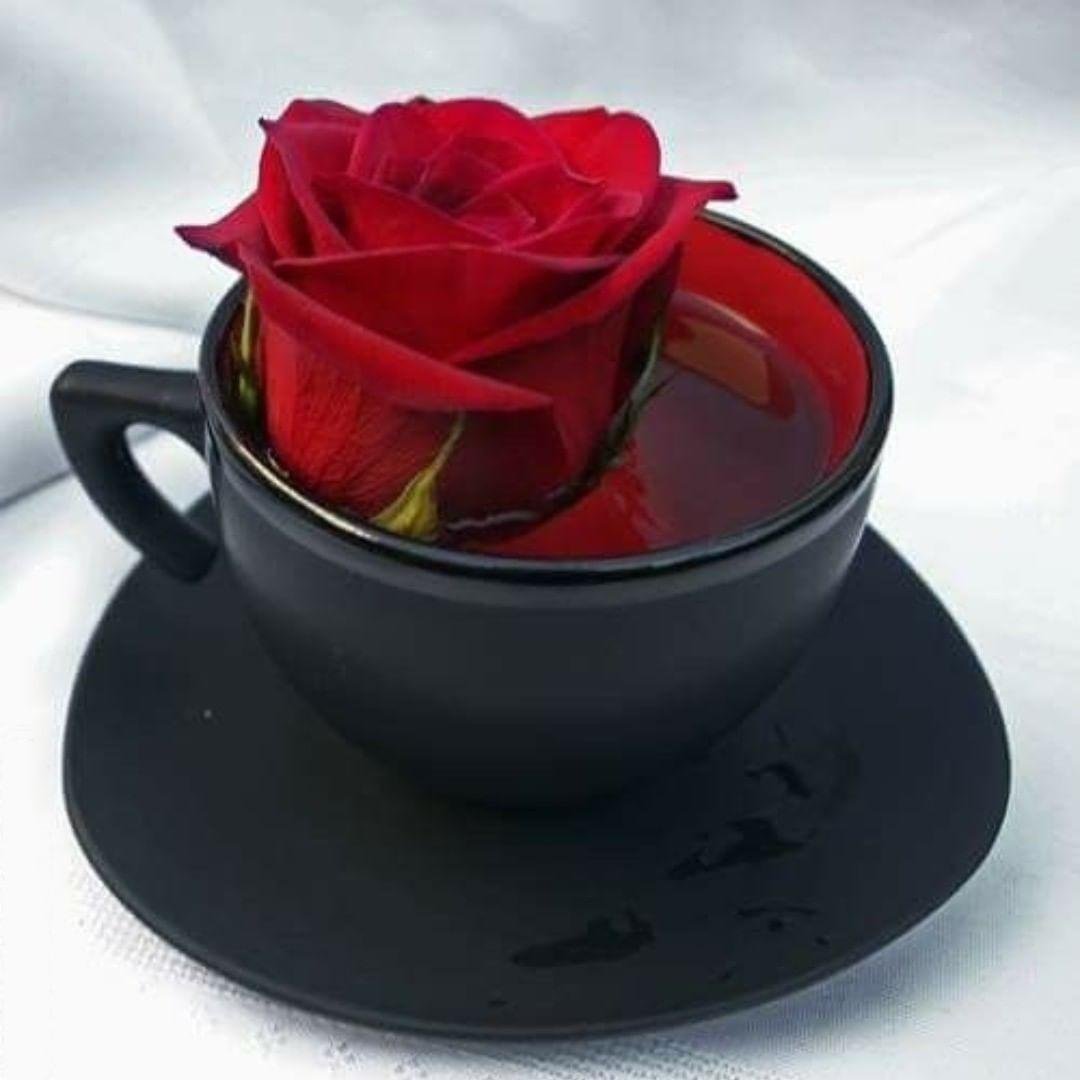 Доброе утро картинки с розами и надписями. Красивые розы в чашке. Доброе утро красные розы. Красивые розы с добрым утром. Доброе утро с розами и пожеланиями.