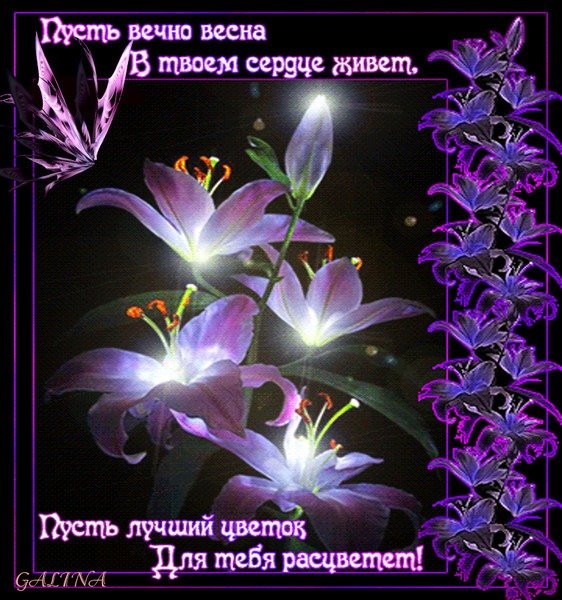 Спокойной ночи Лилия
