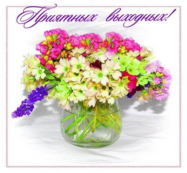 Хороших выходных цветы