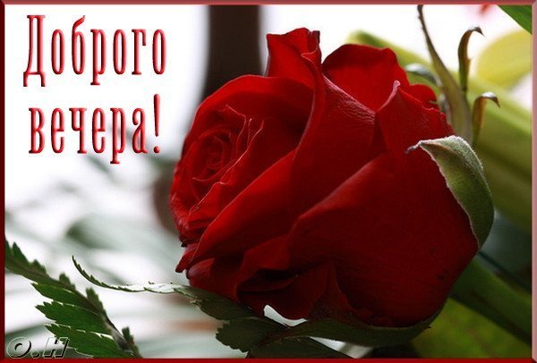 Чудесного вечера