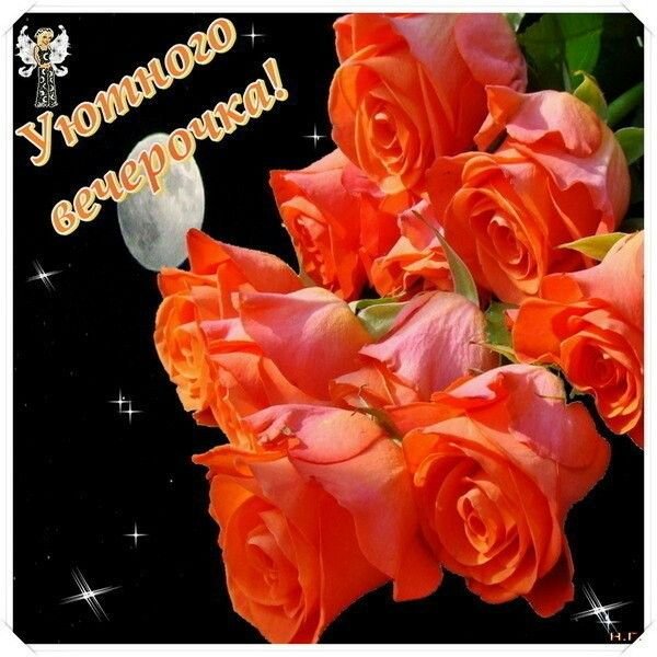 Две розы