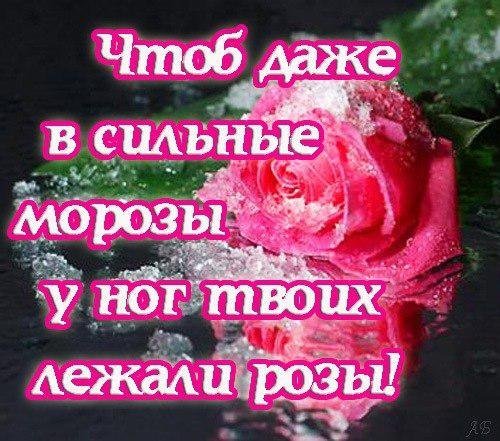 Цветы для тебя