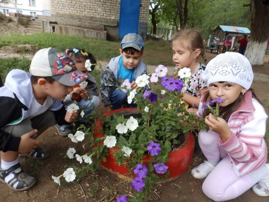 Дети сажают цветы на клумбе