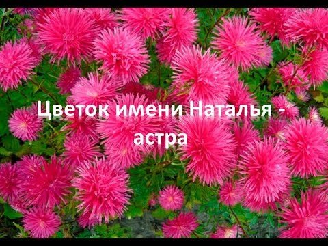 8 Сентября Натальин день