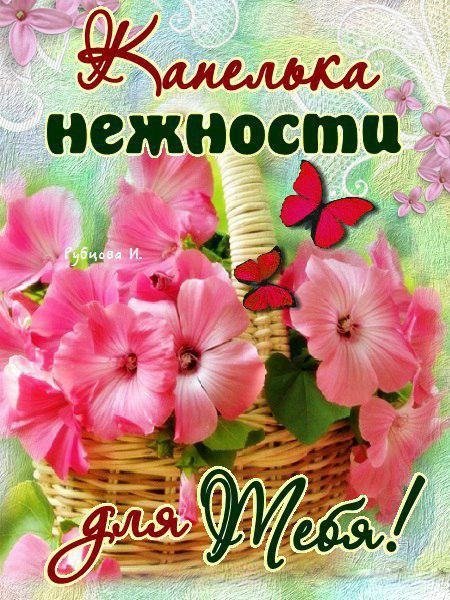 Открытка для тебя