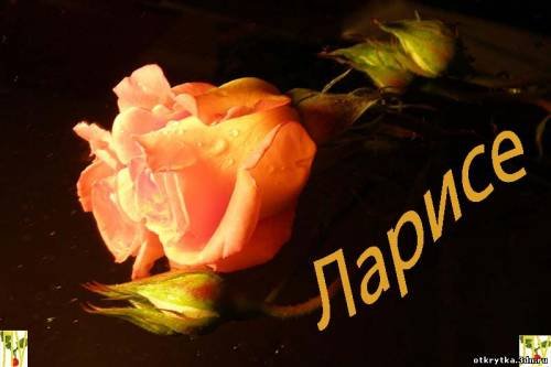 Букет цветов для Ларисы