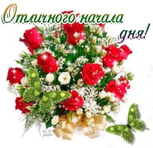 Розы для красавицы
