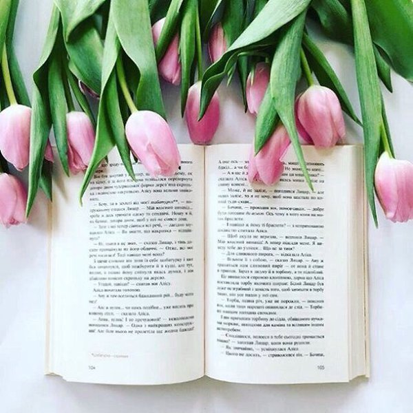 Тюльпаны и книги