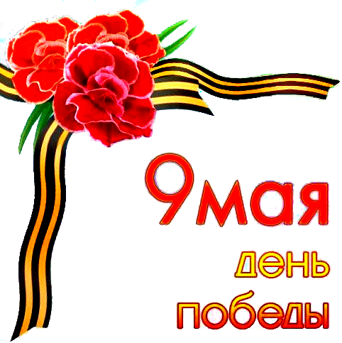 Красные гвоздики на прозрачном фоне
