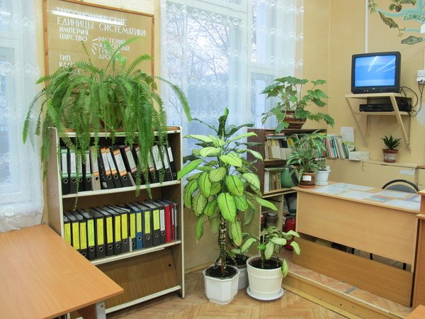 Озеленение школьного кабинета