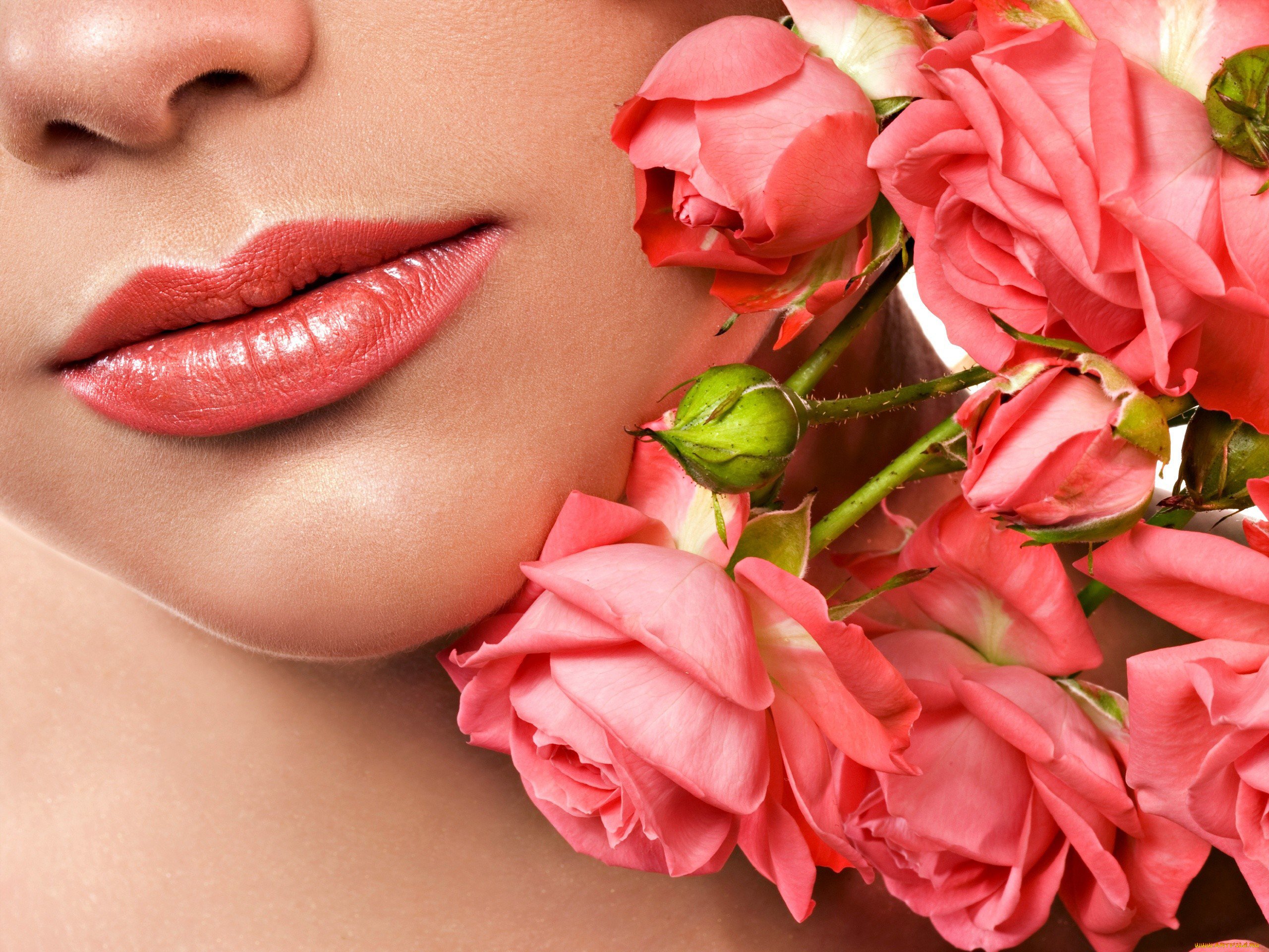 Твои прекрасные губы. Женские губы. Красивые губы. Цветок губы. Женщина с цветком в губах.