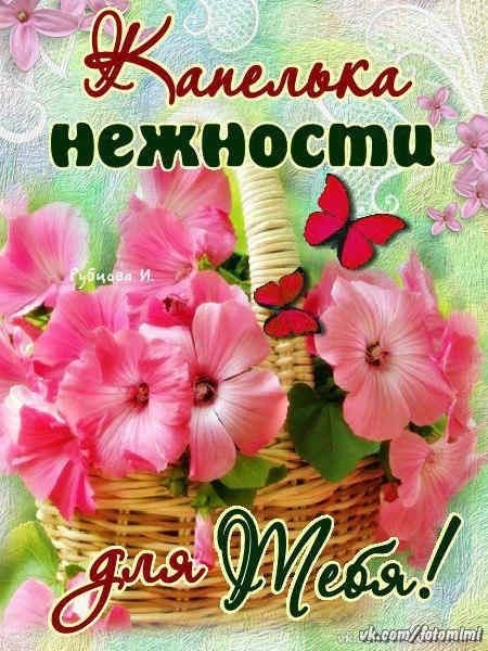 Поздравление просто так для души