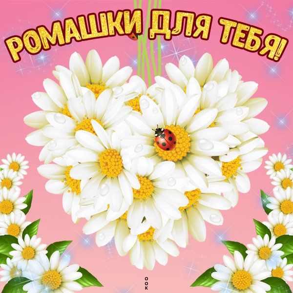 Мерцающие ромашки