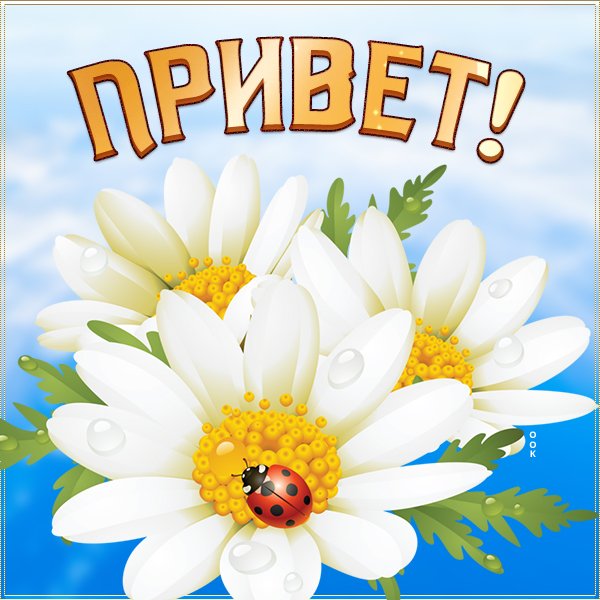 Открытки со словами привет
