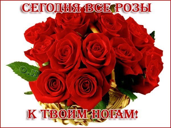 Розы к твоим ногам