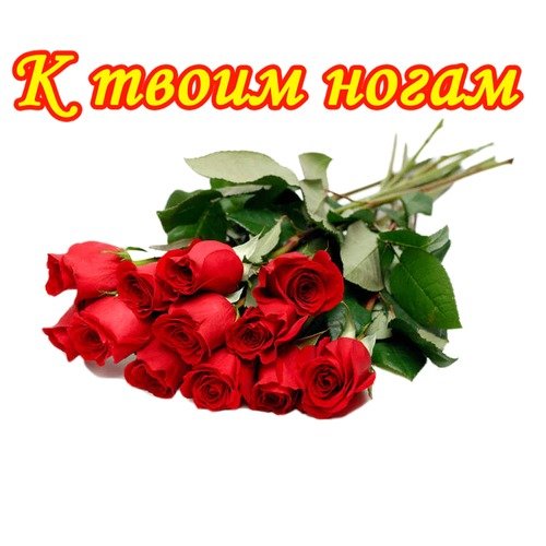 У твоих ног
