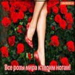 Весь мир у твоих ног