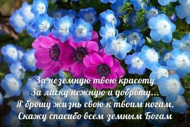 Роза на ноге
