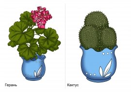 Садовые и полевые цветы для детей