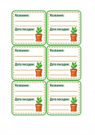 Названия комнатных цветов для детского сада