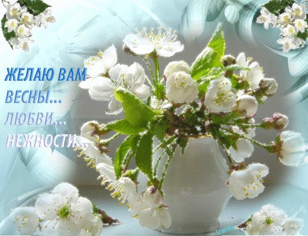 Открытки весенние цветы для тебя