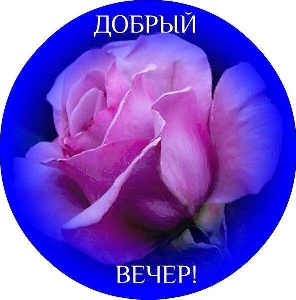Стикерв ы с добрым вечером