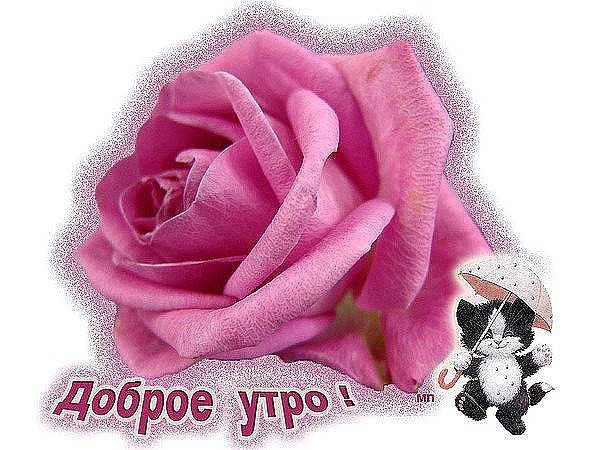 Доброе утро принцесса
