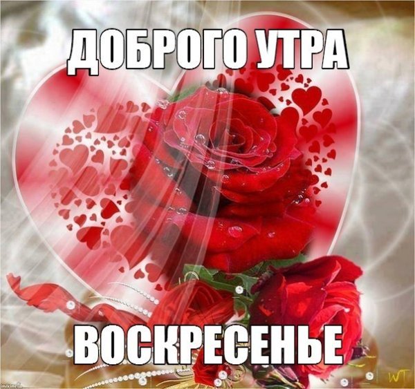 Цветочек для Танечки