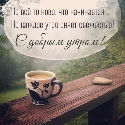 Необычные поздравления с добрым утром