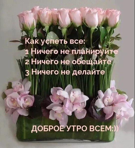 Доброе утро стихи