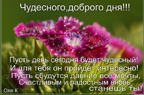 Умные цитаты с добрым утром
