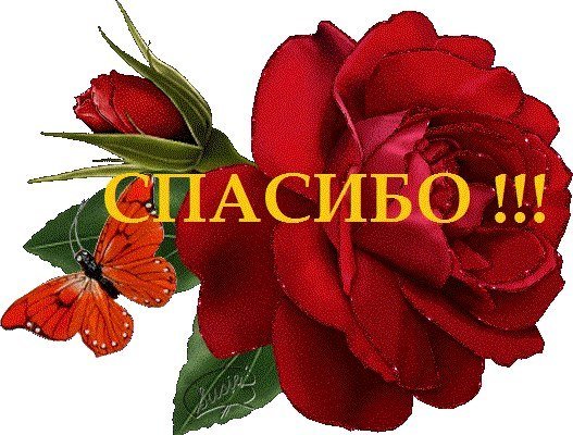 Стикеры слова благодарности